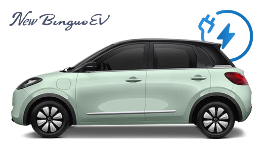 Wuling Binguo